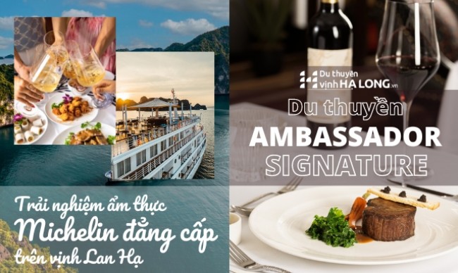 Du thuyền Ambassador Signature Lan Hạ - Trải nghiệm ẩm thực đẳng cấp Michelin trên Vịnh Lan Hạ